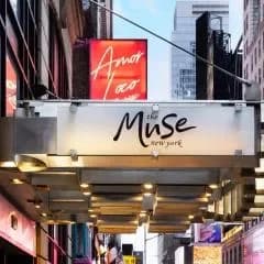 The Muse New York
