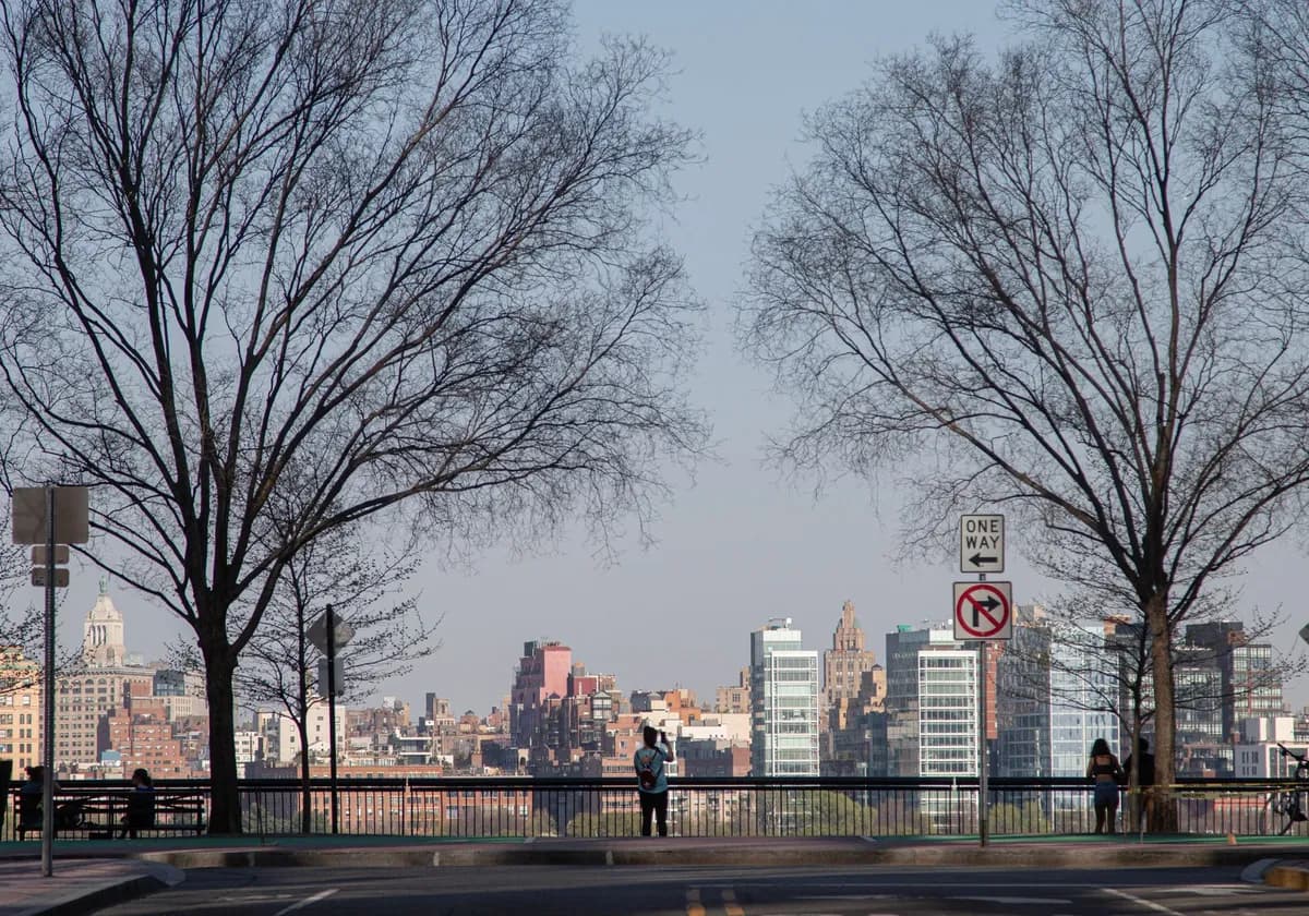 Scenic view of New York City skyline from Brooklyn Heights Promenade with bare trees in foreground.