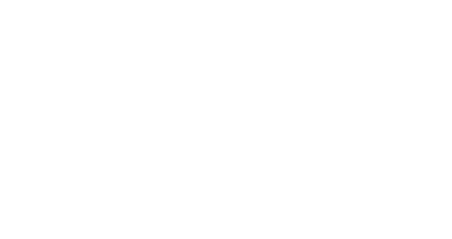 NYC Travel Guide