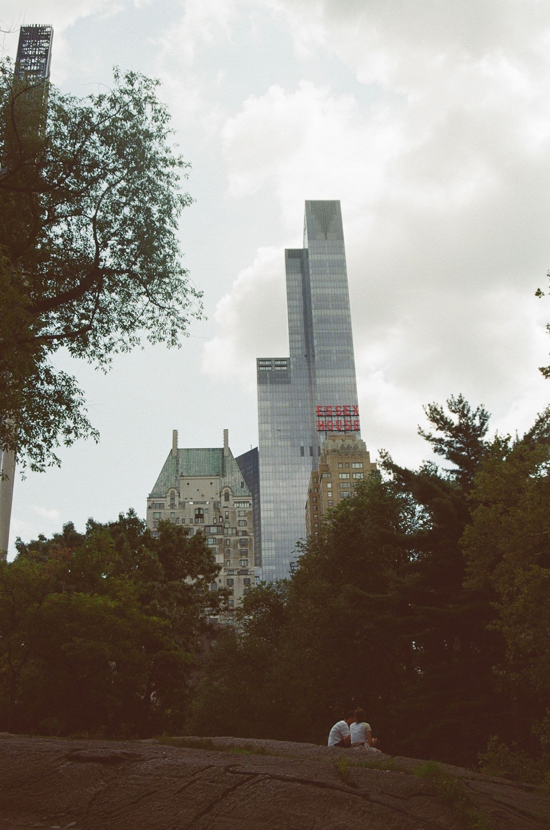A leafy view in Central Park, New York City