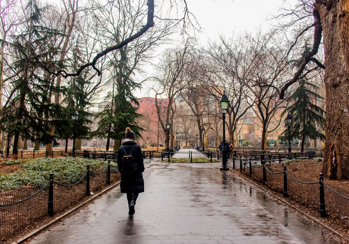 A person walks through the serene, bare trees of Washington Square Park in winter, New York City.